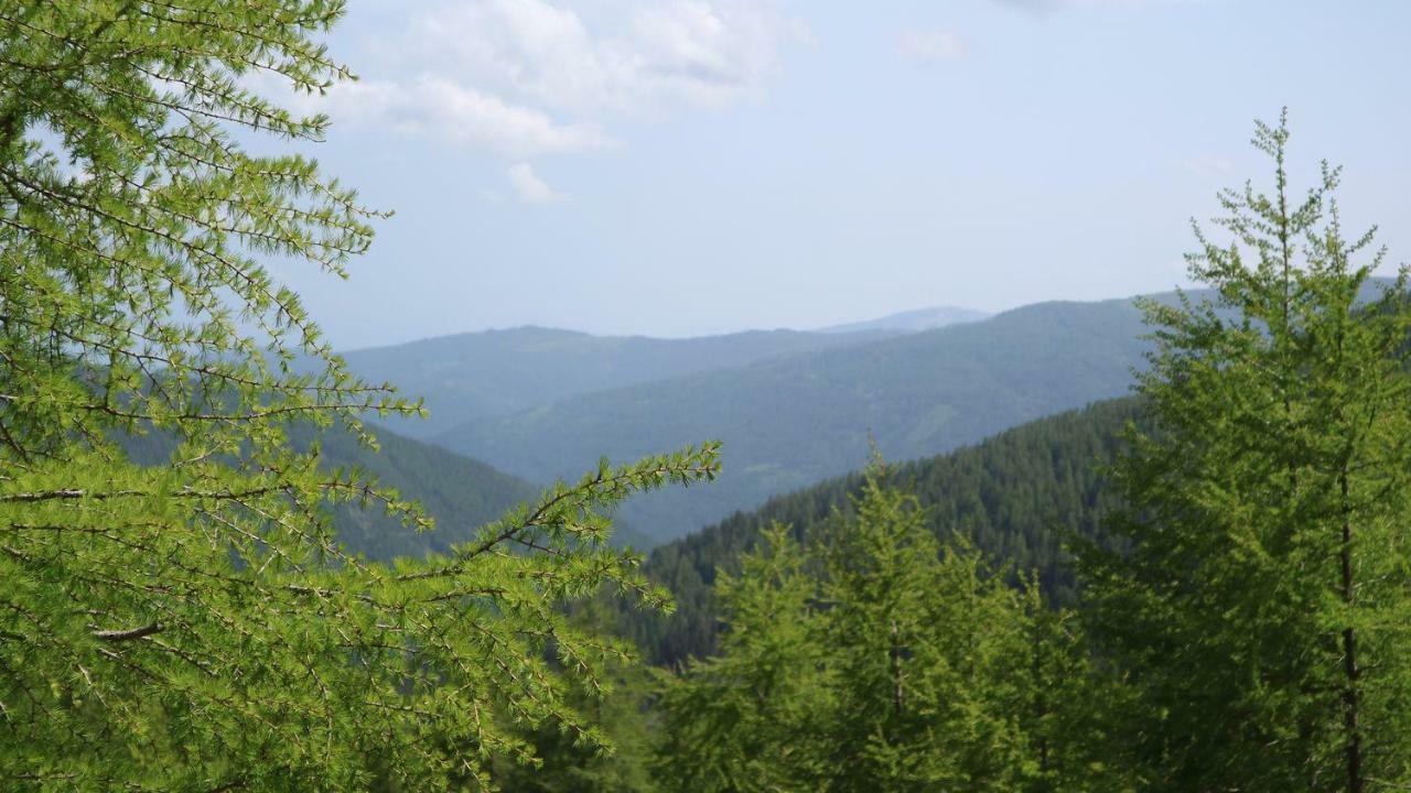 Vila Almhaus Heidi Nockberge Patergassen Exteriér fotografie